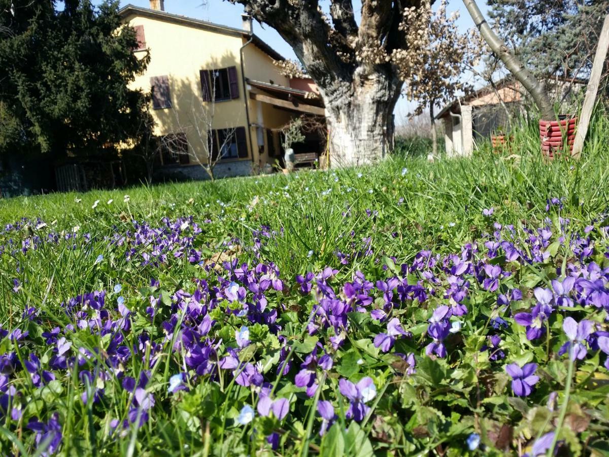 R&B Albero Cavo Parma Bed & Breakfast ภายนอก รูปภาพ
