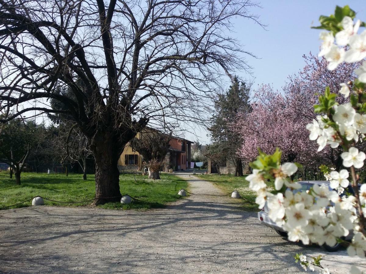 R&B Albero Cavo Parma Bed & Breakfast ภายนอก รูปภาพ